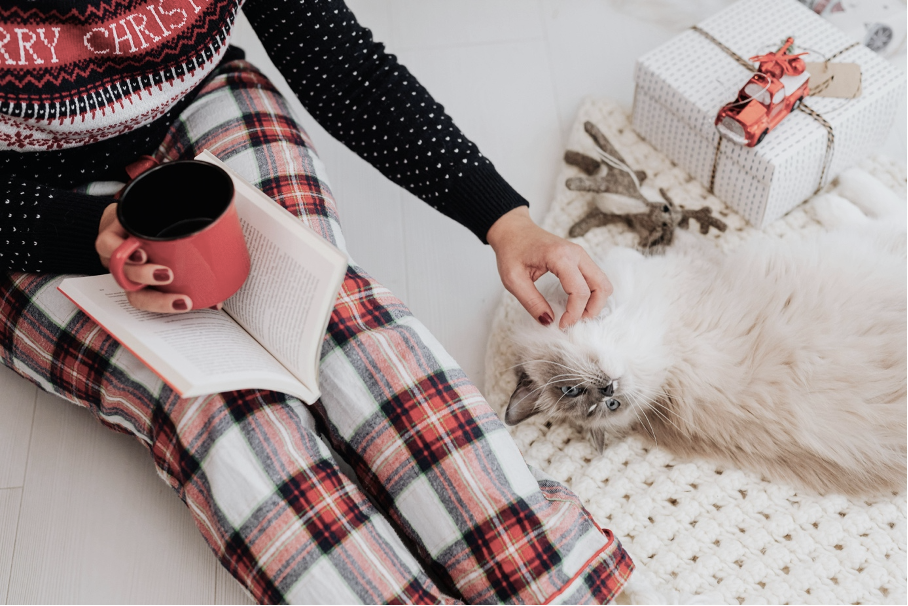 Kaffee-Adventskalender 2025 - Unsere Empfehlungen für Genuss und Vorfreude