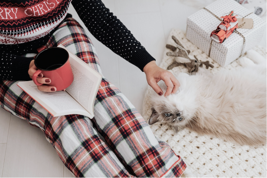 Kaffee-Adventskalender 2025 - Unsere Empfehlungen für Genuss und Vorfreude