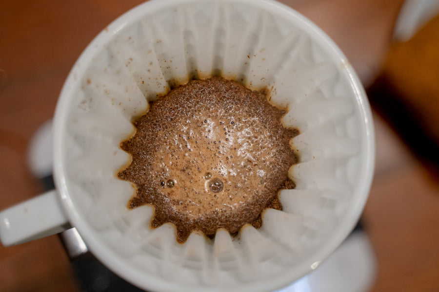 What are the most popular coffee brewing methods? 