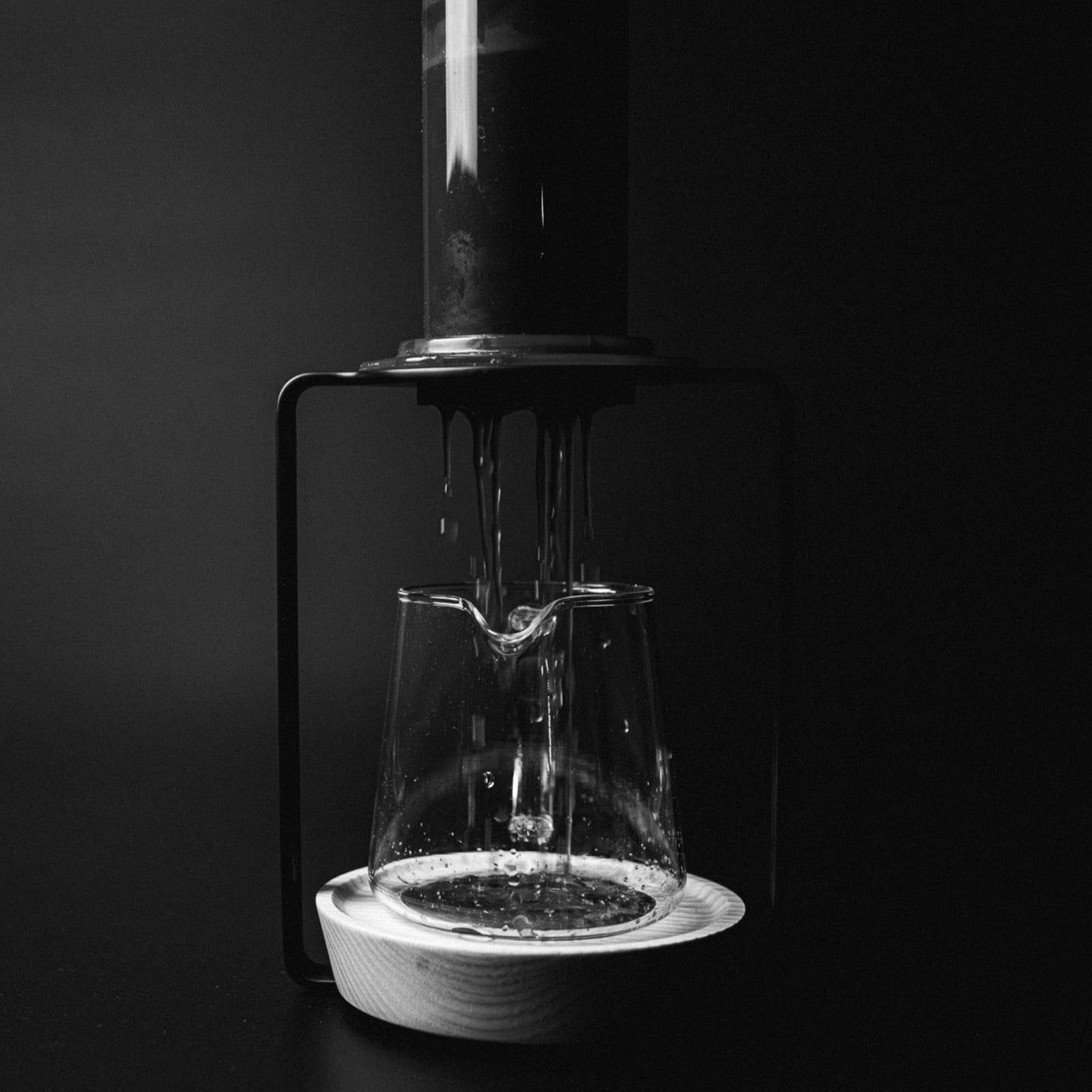 Brühvorgang mit Sibarist FAST Disc 63 Papierfilter in Kaffeepresse