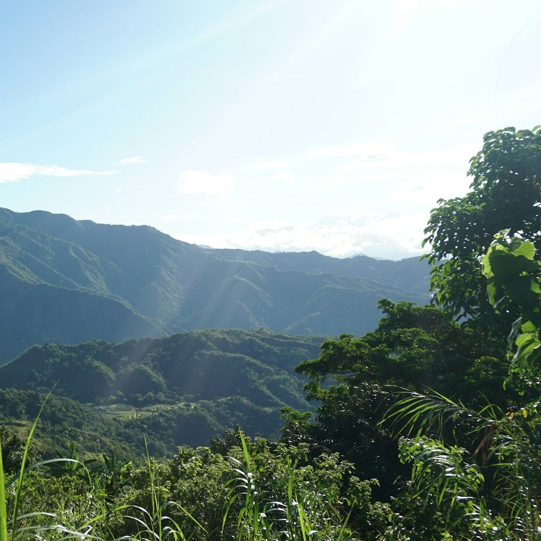 Cafe_Creme_Schuemli_Landschaft