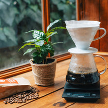 Laden Sie das Bild in den Galerie-Viewer, Hario V60 Coffee Dripper Filter aus Porzellan Gr. 02, weiß