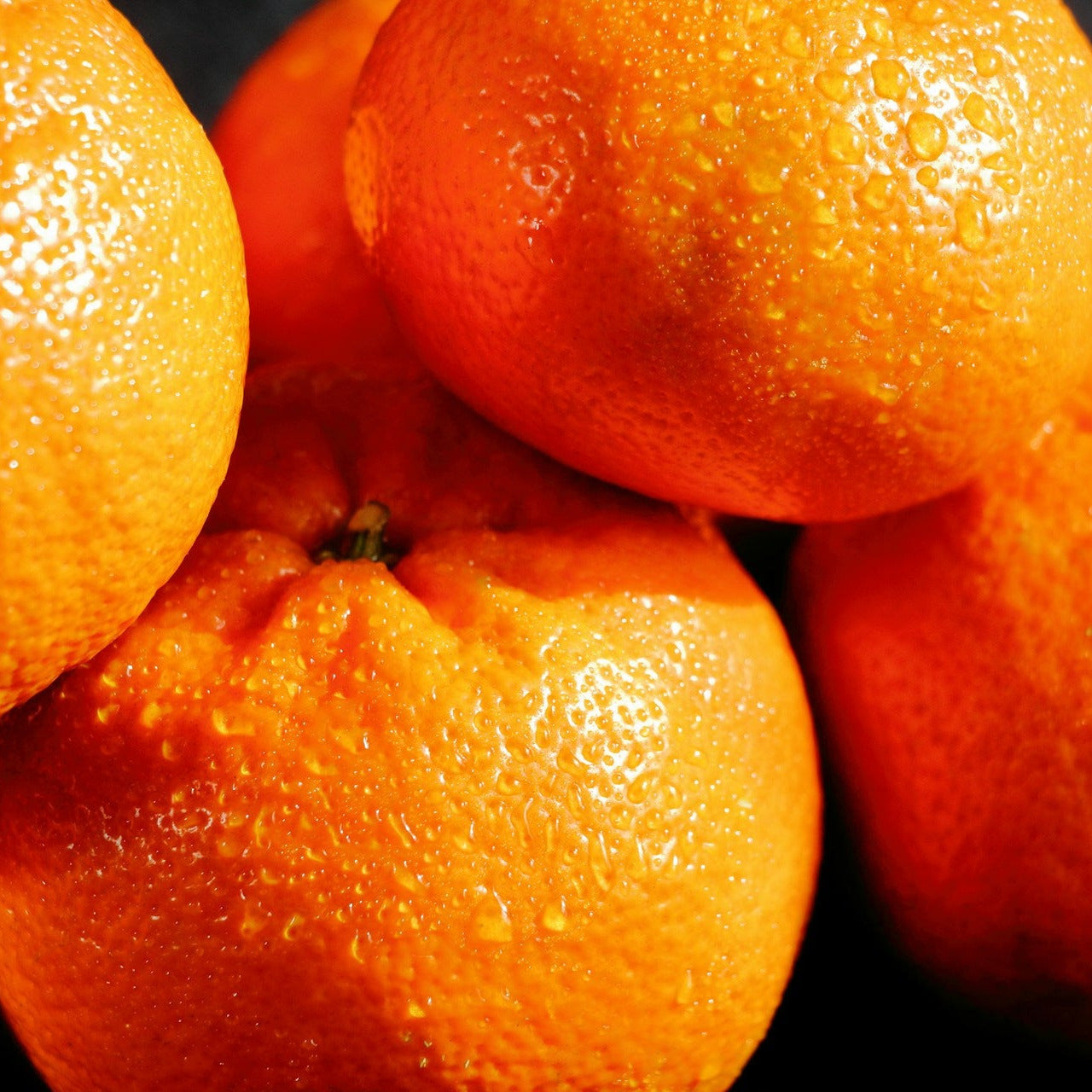 House Blend Gelbe Früchte Note