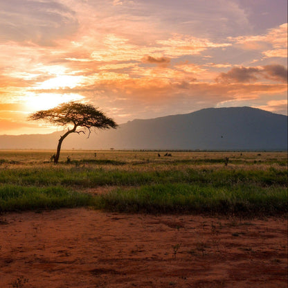 Kenia Landschaft