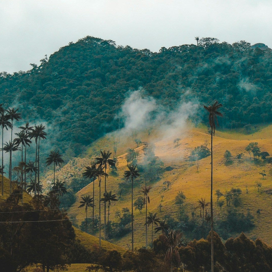 Kolumbien Landschaft