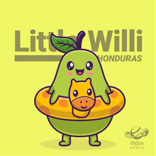 Coffee Space Kaffeebohnen Little Willi - Medium light Roast, Williams, Lemon, Toffee, 200g