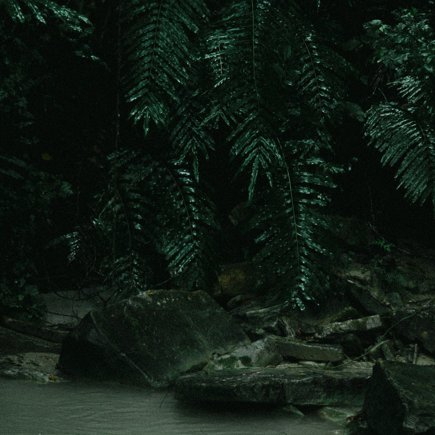 Mexiko Extra Dark Landschaft