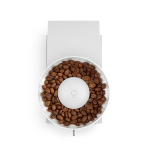 Fellow Opus Grinder elektrische Kaffeemühle matt-weiß, Ansicht von oben auf Bohnenbehälter