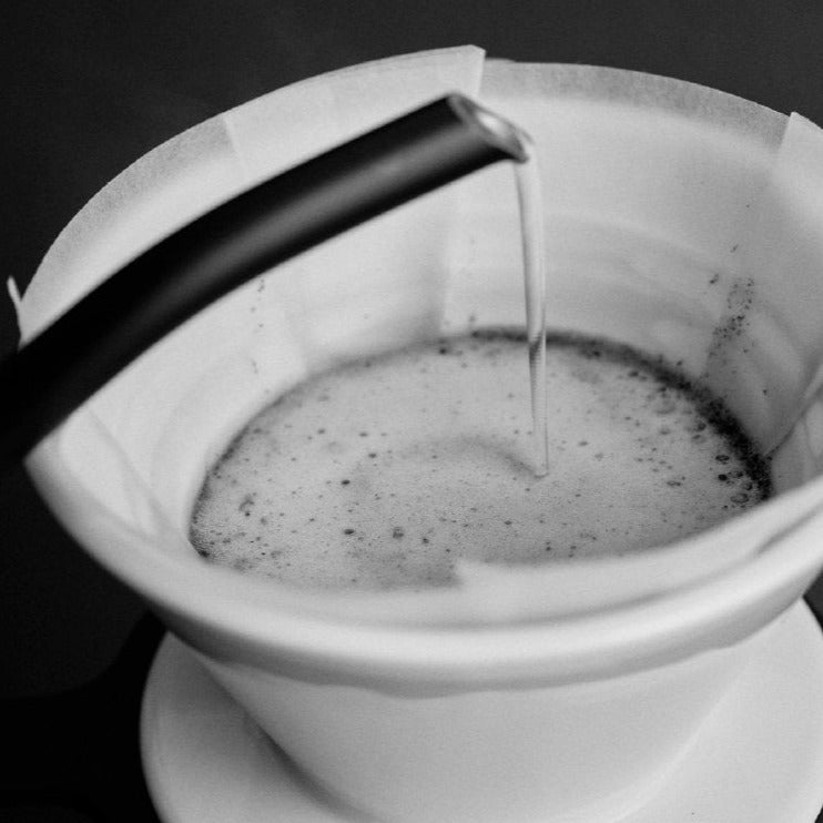 Brühen mit dem Sibarist Fast Flat Filter M