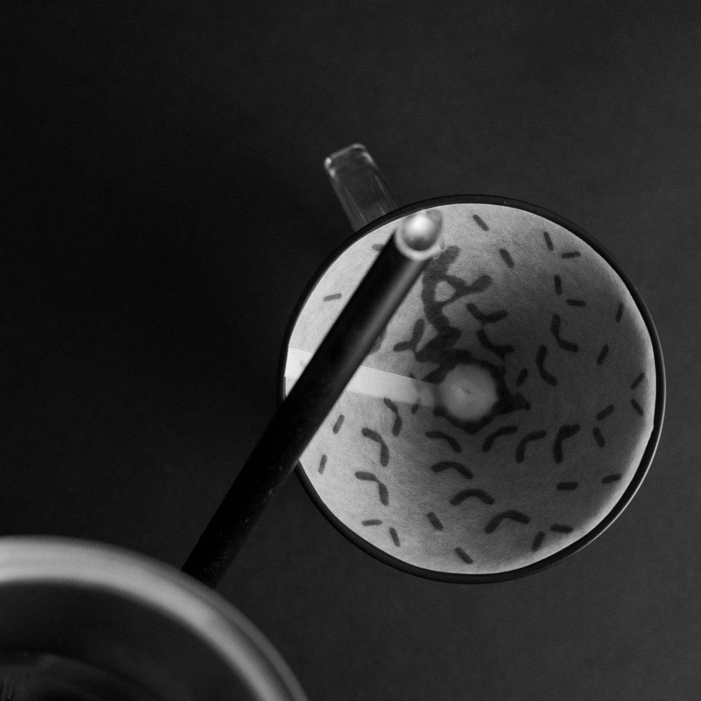 Sibarist FAST Graycano Papierfilter