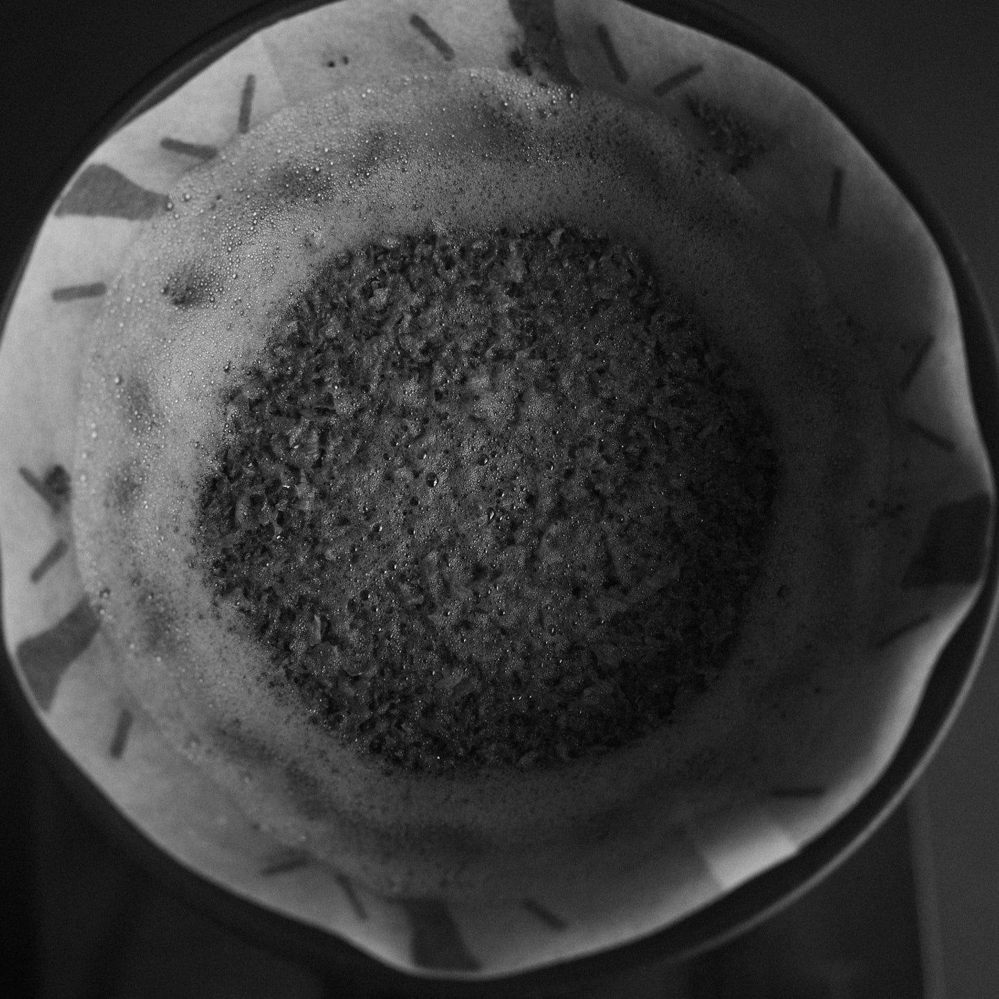 Sibarist FAST Graycano Papierfilter in Graycano Dripper, Ansicht von oben