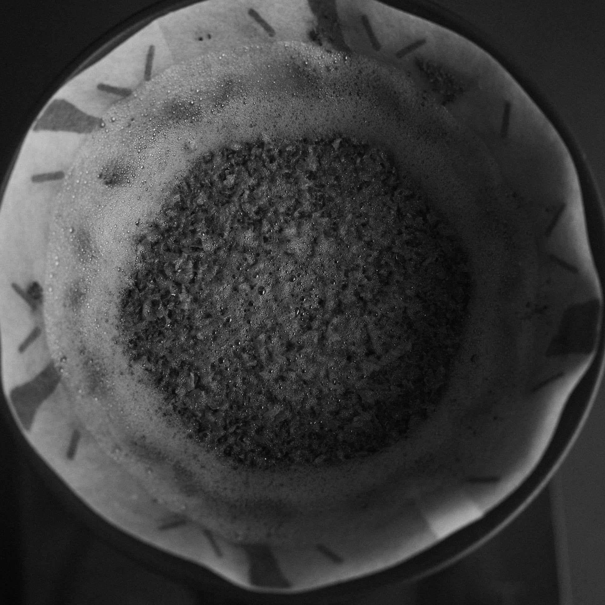 Sibarist FAST Graycano Papierfilter in Graycano Dripper, Ansicht von oben