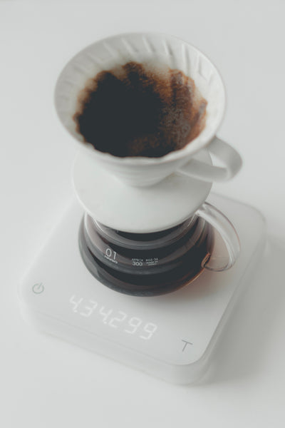 Kaffeezubereitung mit Handfilter und Coffee Server