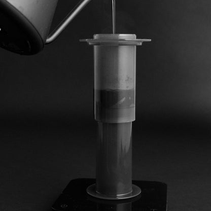 Sibarist FAST Disc 63 Papierfilter in Kaffeepresse