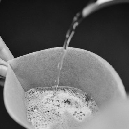 Sibarist FAST Cone Papierfilter Wasserausguss