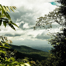 Load image into Gallery viewer, THAILAND Landschaft mit Bäumen und Himmel über Bergen